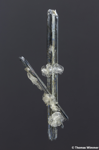 Baryt, Antimonit; Fundort: Cavnic/Rumänien; BH: 24 mm; Sammlung Thomas Wimmer, ex. Schöneborn, © Thomas Wimmer