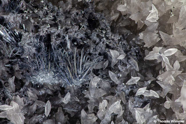 Berthierit, Antimonit; Fundort: Baia Borsa/Rumänien; BB: 7,1 mm; Sammlung Thomas Wimmer, ex. Schöneborn, © Thomas Wimmer