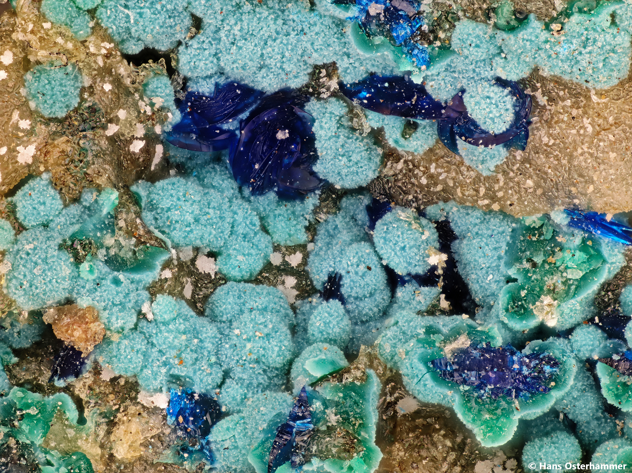 Azurit mit hellblauem unbek. Mineral auf Malachit, Grube Clara; BB: 26 mm; Sammlung: Gert Schöneborn, Copy Hans Osterhammer