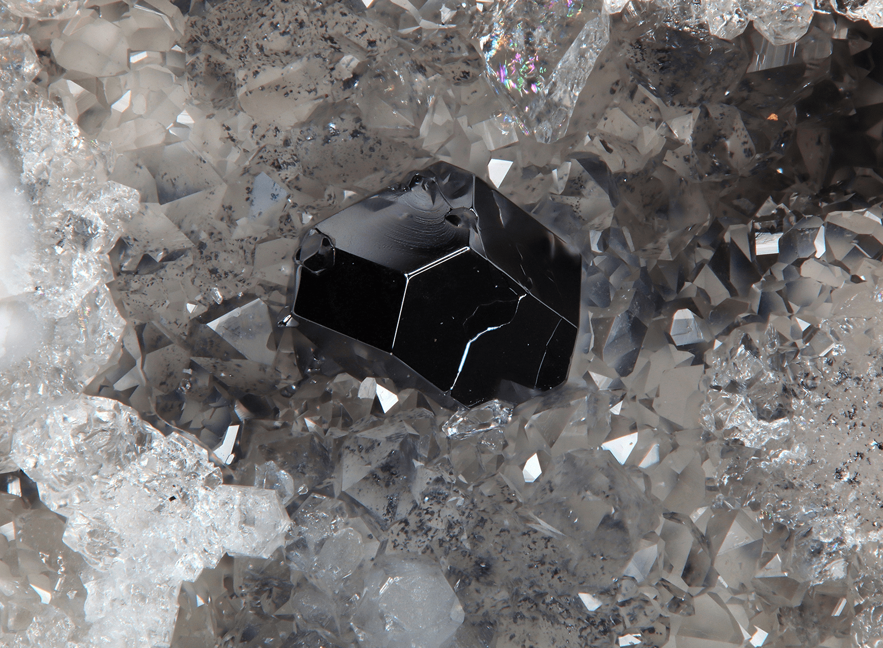 Galenit, Grube Clara; BB: 5,3 mm; Sammlung: Gert Schöneborn, © Hans Osterhammer