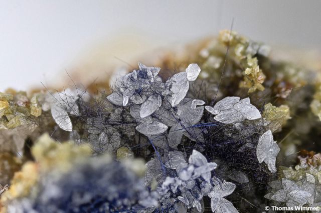 Boulangerit, Calcit; Fundort: Cavnic/Rumänien; BB: 6,4 mm; Sammlung Thomas Wimmer, ex. Schöneborn, © Thomas Wimmer