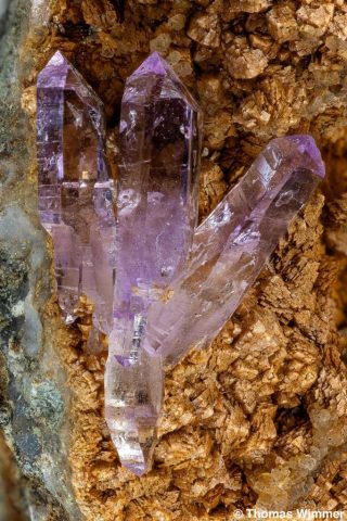 Amethyst; Osilo; BB: 17 mm; Sammlung Thomas Wimmer, © Thomas Wimmer