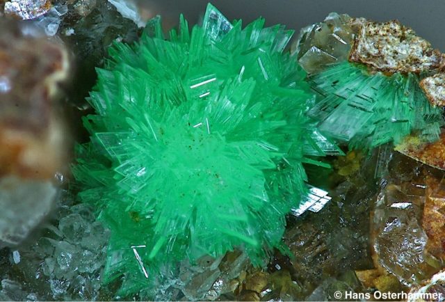 Annabergit; Laurion; BB 3,8 mm; © Hans Osterhammer