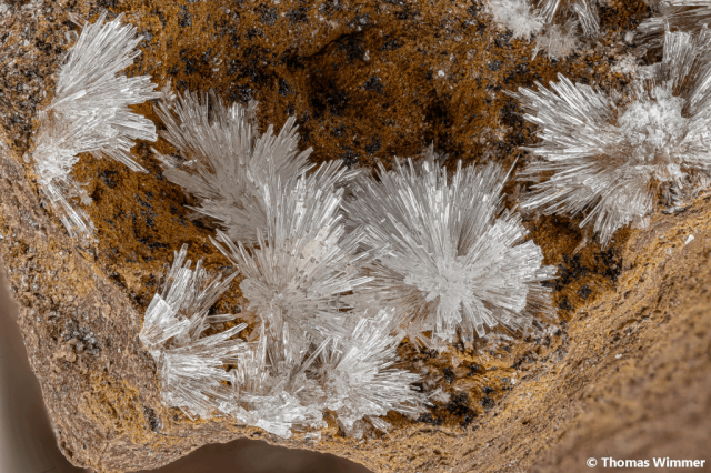 Aragonit; Prissian, Südtirol; BB: 18 mm; Sammlung Thomas Wimmer, ex. Hans Huber, © Thomas Wimmer