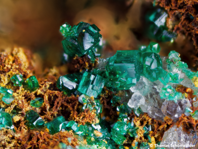 Brochantit; Telfer Weißen, BB 1,5 mm; Sammlung Thomas Schönwälder; © Thomas Schönwälder