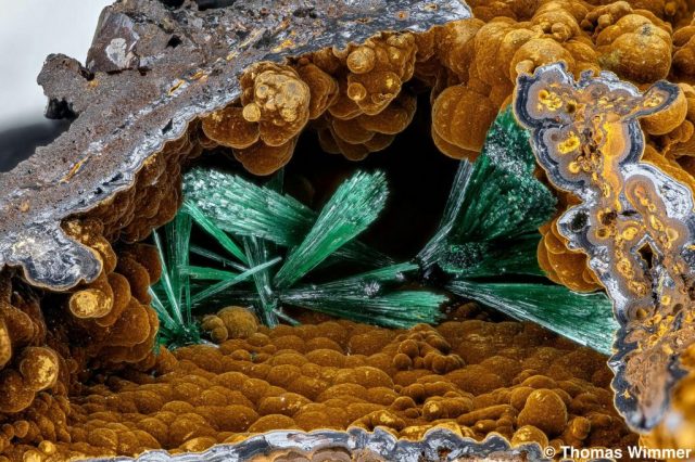 Brochantit; Montevecchio; BB: 8,3 mm; Sammlung Thomas Wimmer, © Thomas Wimmer