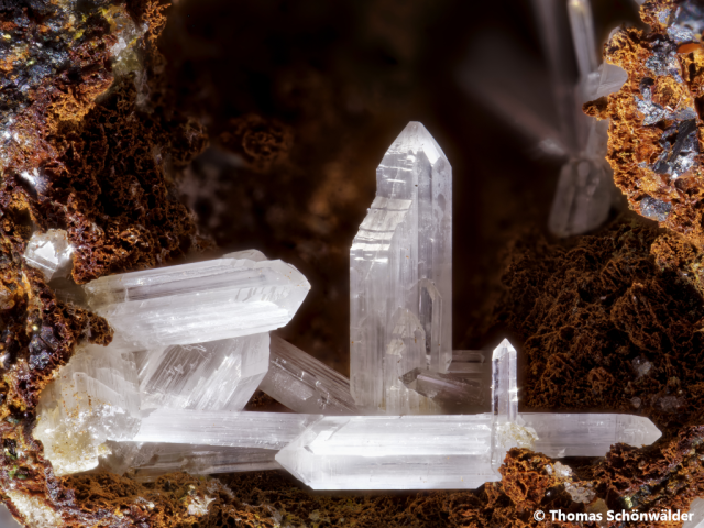 Cerussit; Telfer Weißen, BB 6,7 mm; Sammlung Thomas Schönwälder; © Thomas Schönwälder