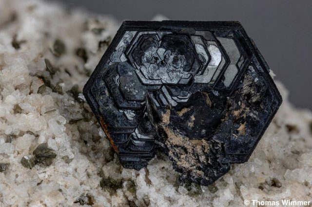 Eisenrose; Furkapass; BB: 20 mm; Sammlung Thomas Wimmer, © Thomas Wimmer