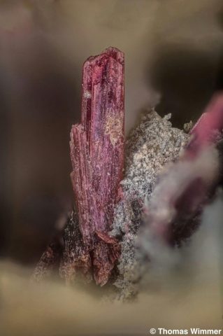 Erythrin; Wittichen; BH 3,6 mm; © Thomas Wimmer