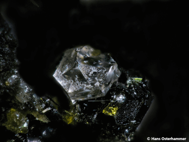 Fluorapatit; In den Dellen, Laacher See, Mendig, Eifel, Rheinland Pfalz, Grube Clara; BB: 2,5mm; Sammlung: Hans Osterhammer, © Hans Osterhammer