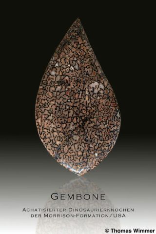 Gembone 1; Sammlung Thomas Wimmer; @ Thomas Wimmer