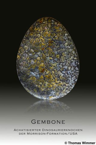 Gembone 2; Sammlung Thomas Wimmer; @ Thomas Wimmer