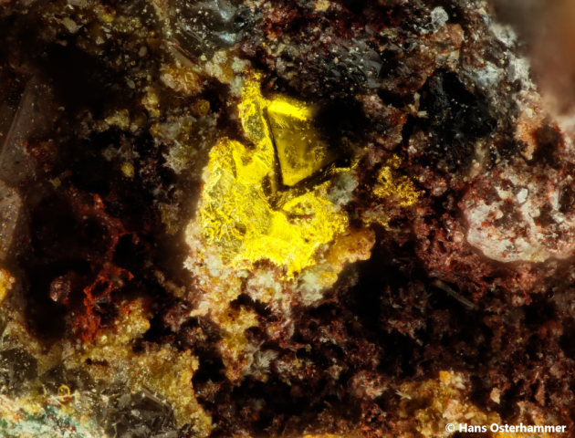 Gold; BB: 1,1mm; Sammlung: Hans Osterhammer, © Hans Osterhammer