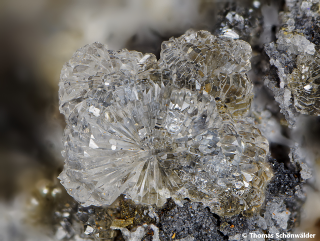 Hemimorphit; Telfer Weißen, BB 4,9 mm; Sammlung Thomas Schönwälder; © Thomas Schönwälder