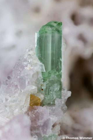 Mikrolit, Elbait; Skardu, Pakistan; BH 8,6 mm; Sammlung Thomas Wimmer, © Thomas Wimmer