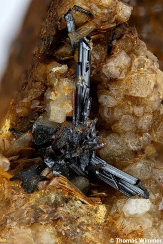 Rutil; Gilgit, Pakistan; BH 12 mm; Sammlung Thomas Wimmer, © Thomas Wimmer