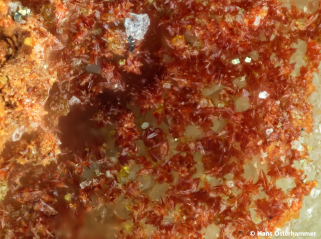 Karminit; BB: 1,1mm; Sammlung: Hans Osterhammer, © Hans Osterhammer