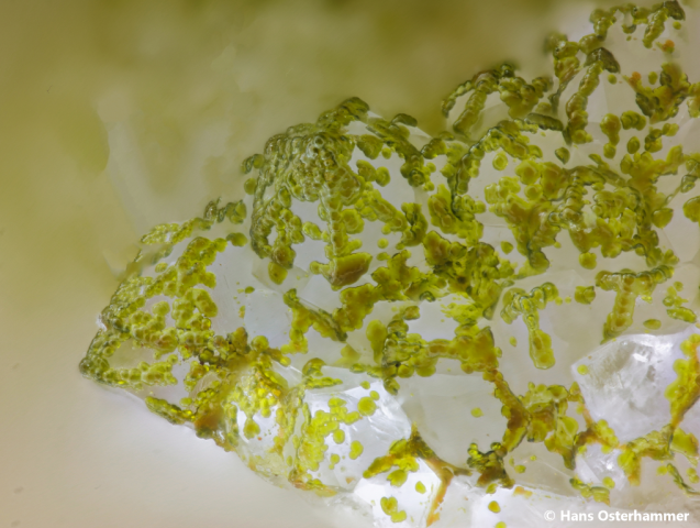 Mcailpineit; BB: 1,1mm; Sammlung: Hans Osterhammer, © Hans Osterhammer