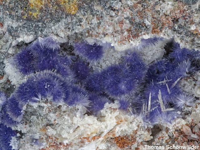 Mullit; Bellerberg, BB 12 mm; Sammlung Thomas Schönwälder; © Thomas Schönwälder