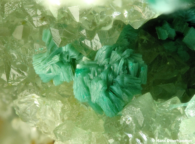 Tirolit; BB: 11,2mm; Sammlung: Hans Osterhammer, © Hans Osterhammer