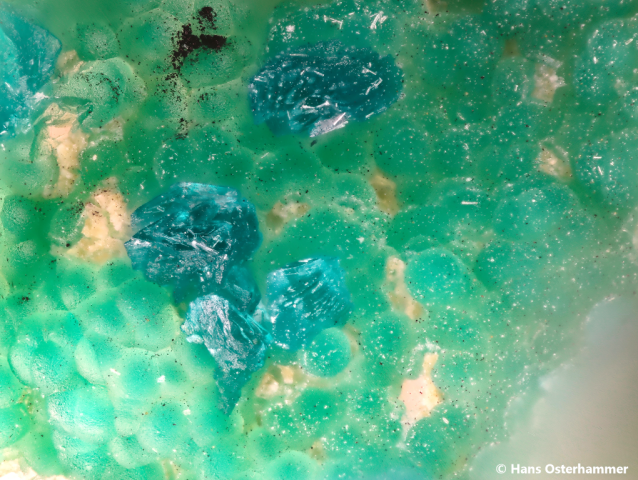 Utahit; BB: 1,1mm; Sammlung: Hans Osterhammer, © Hans Osterhammer